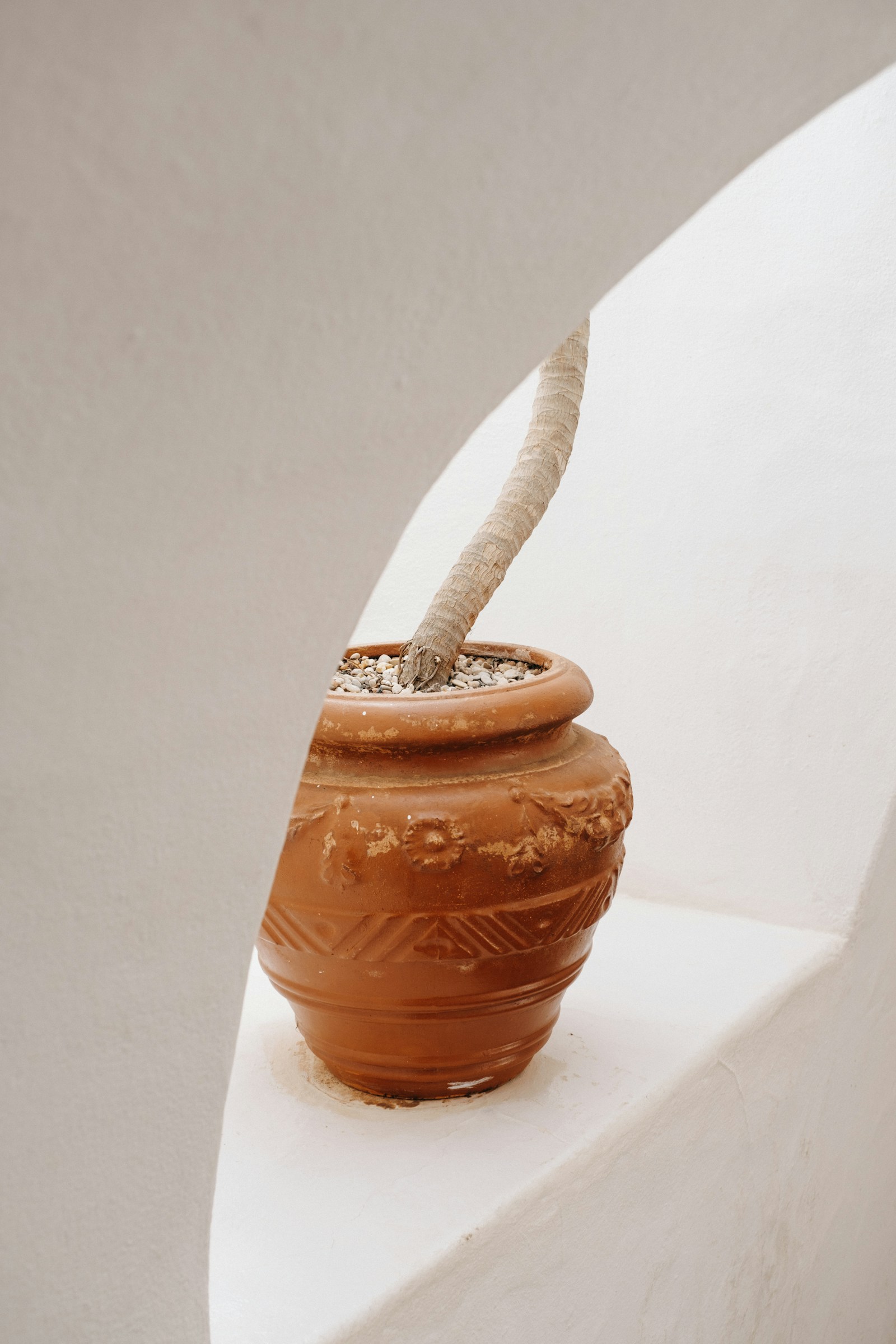 Terracotta product gallery image 16